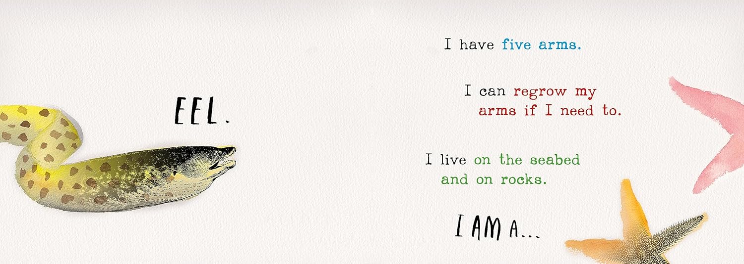 Heads and Tails Underwater