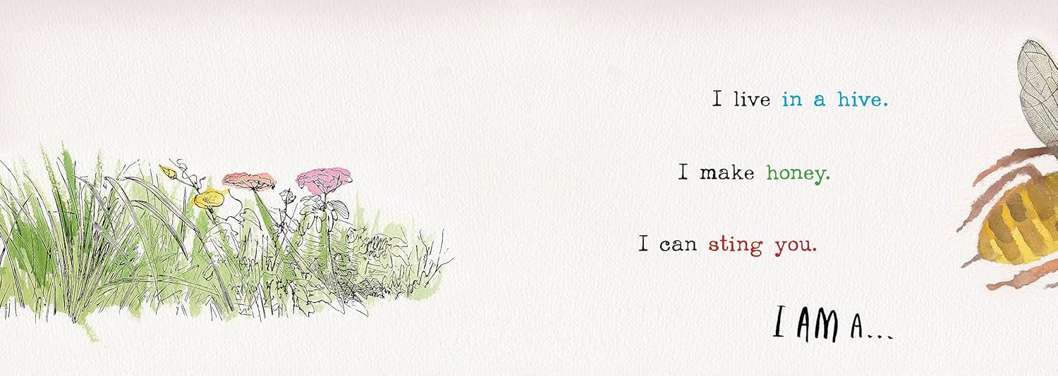 Heads and Tails Insects