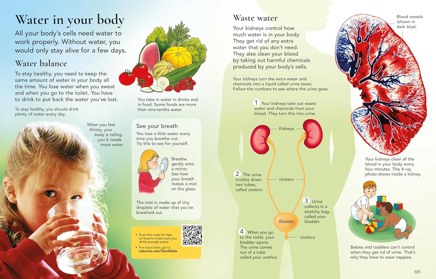 The Usborne Children's Encyclopedia