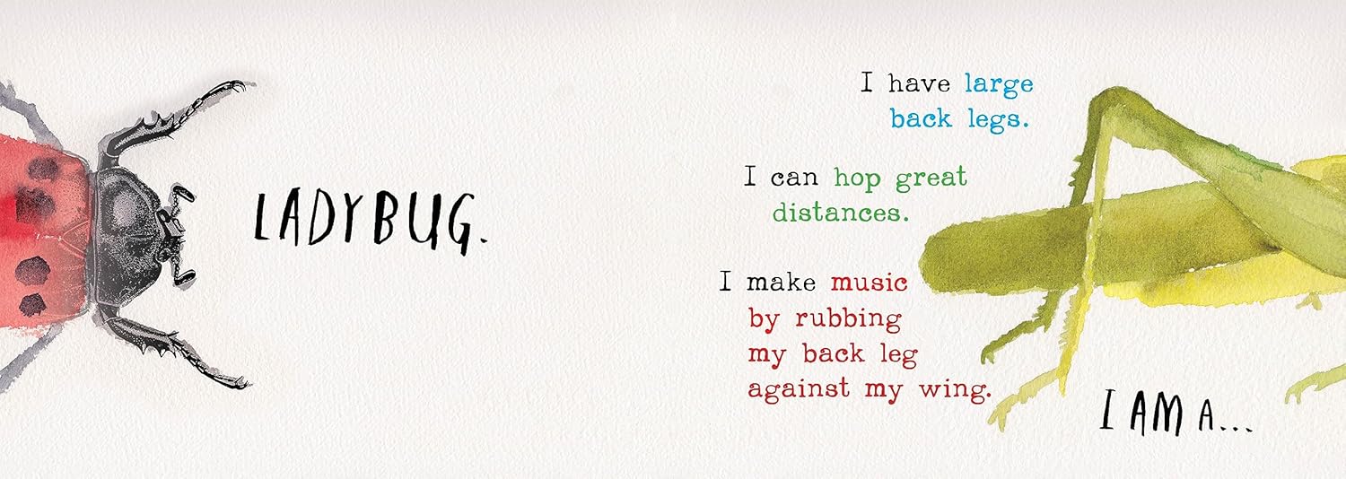 Heads and Tails Insects