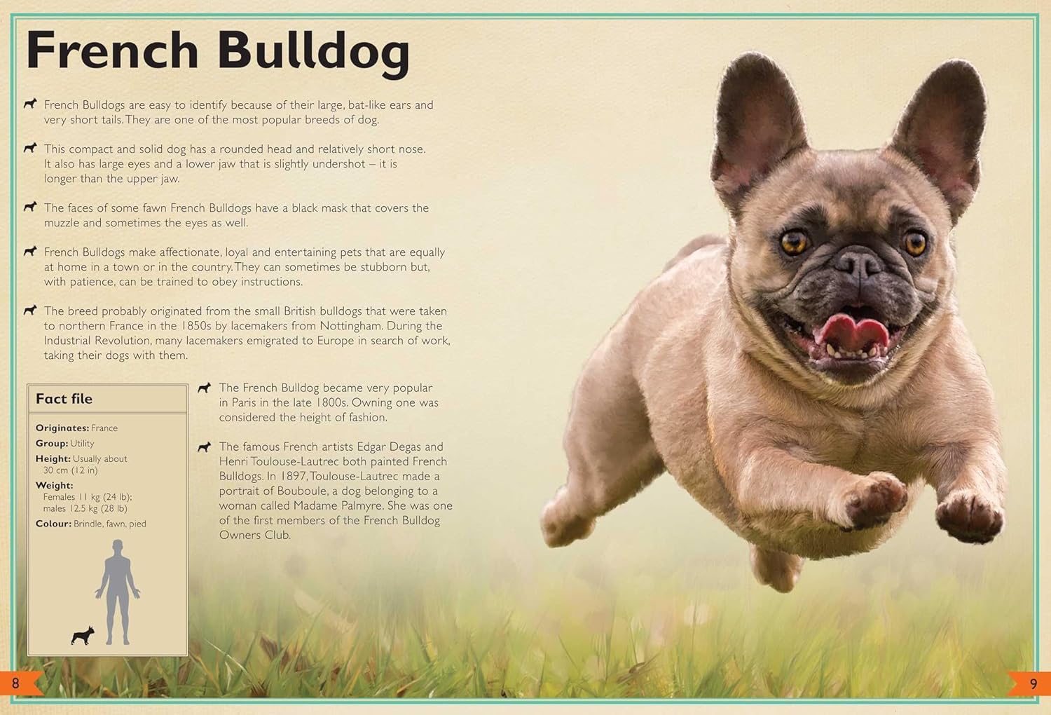 The Magnificent Book of Dogs