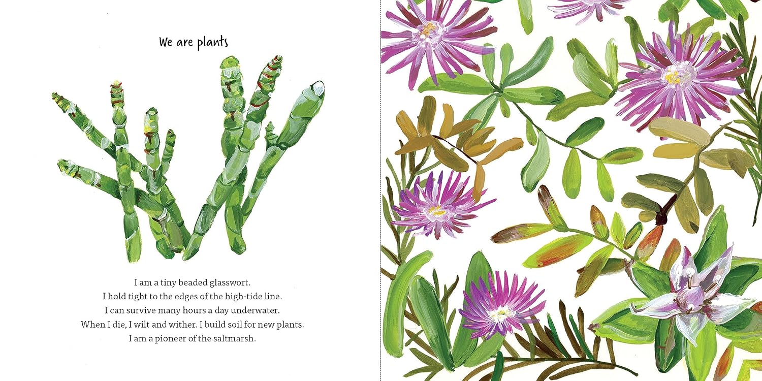 Secrets of the Saltmarsh