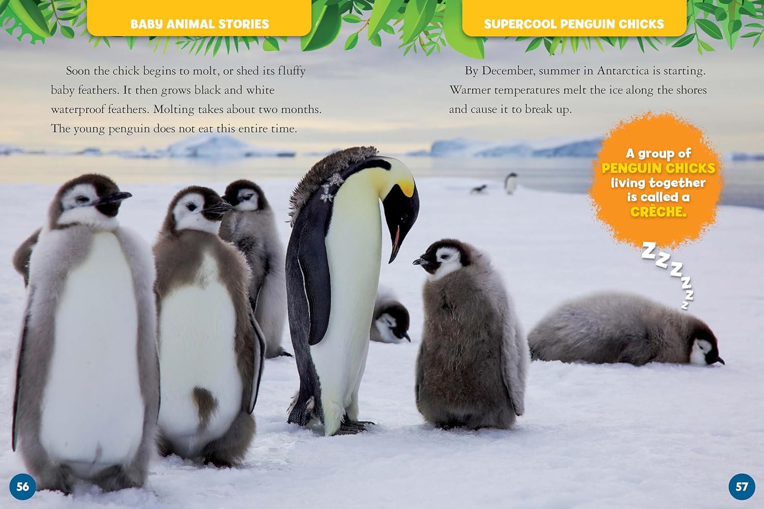 My Treasury of Baby Animal Stories