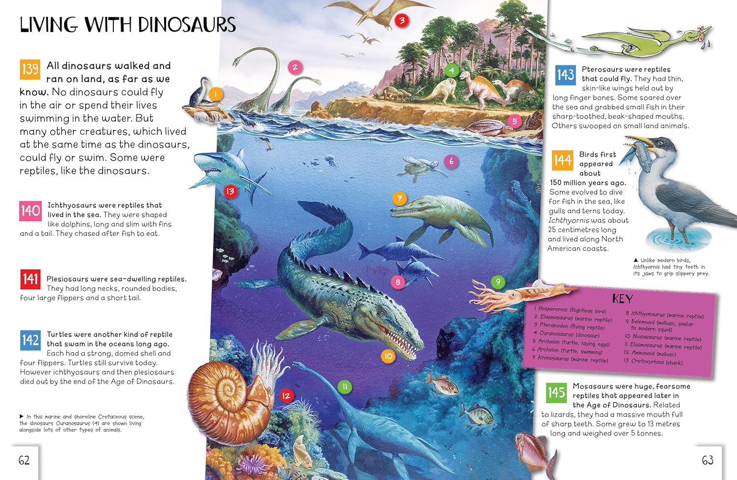 Dinosaurs: Awesome Facts