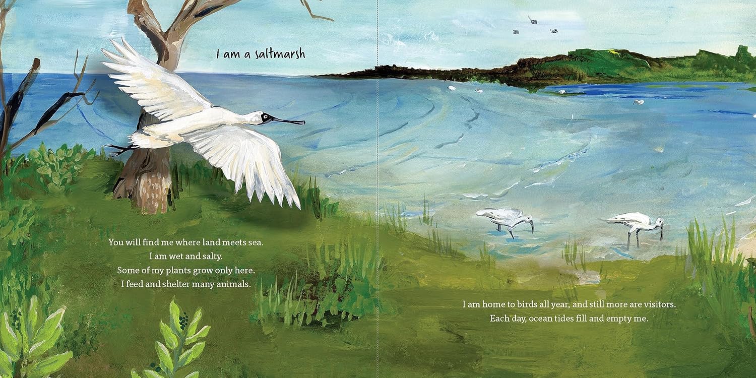 Secrets of the Saltmarsh