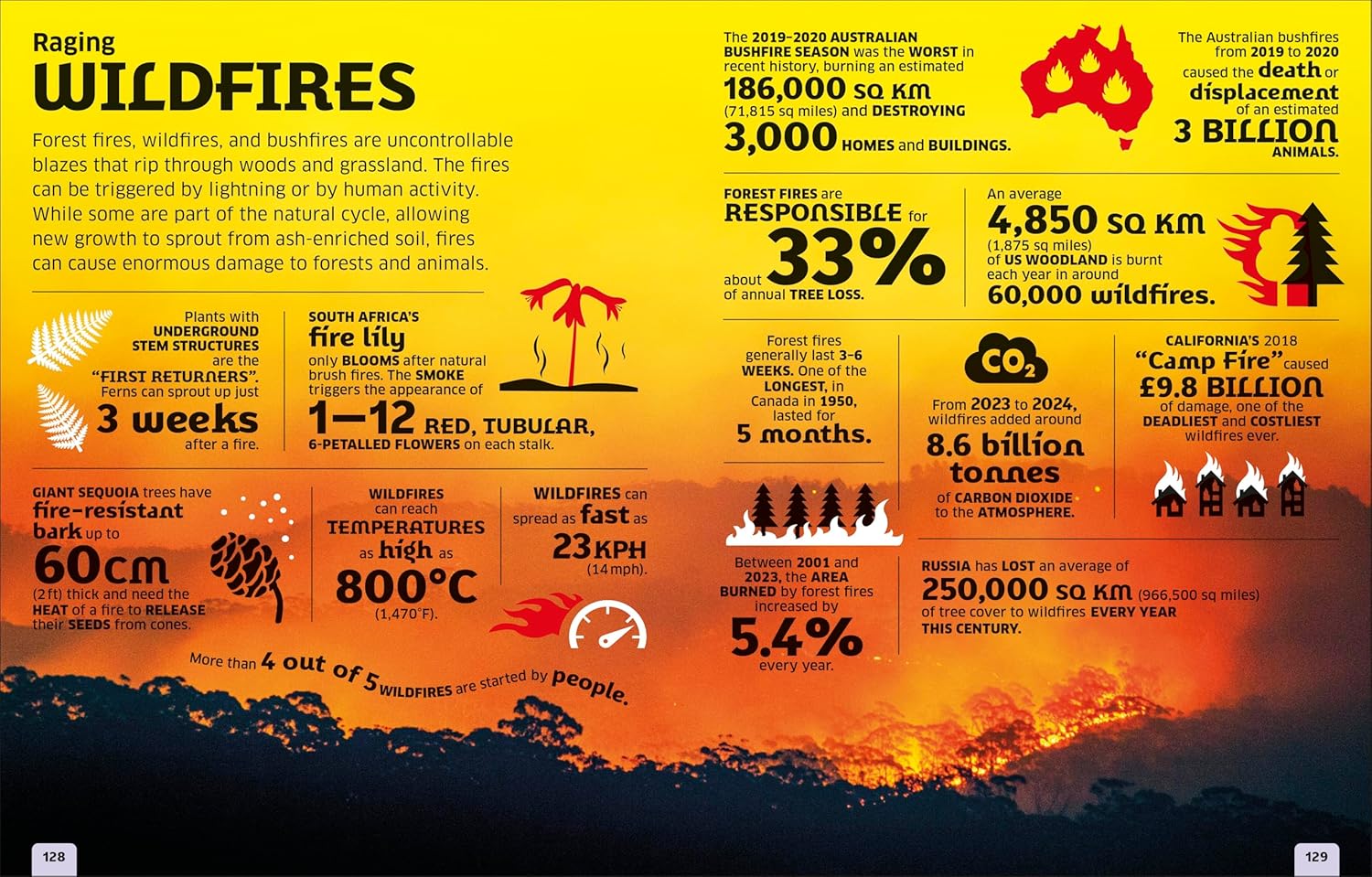 Our World in Numbers Planet Earth
