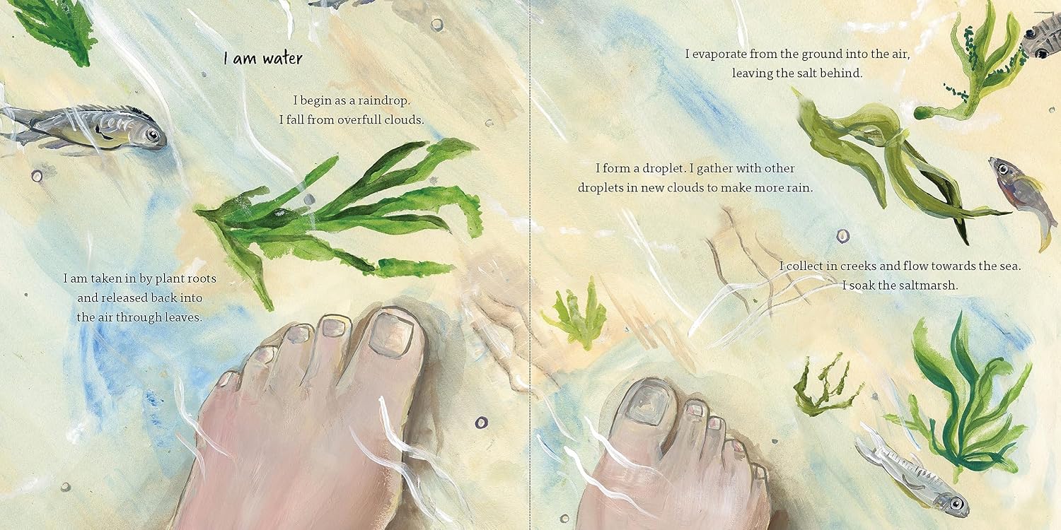 Secrets of the Saltmarsh