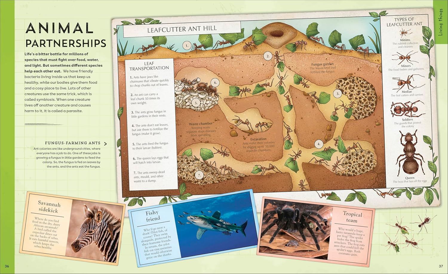 Explore: Science: A Visual Journey Through Our World