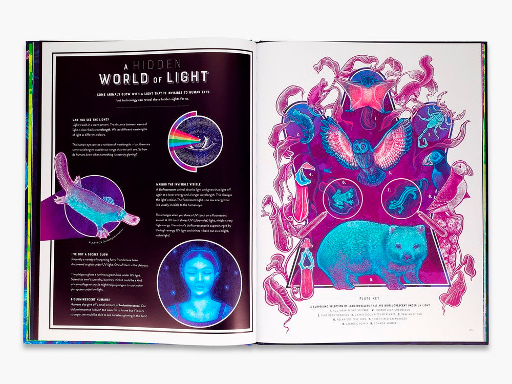 Glow: The wild wonders of bioluminescence