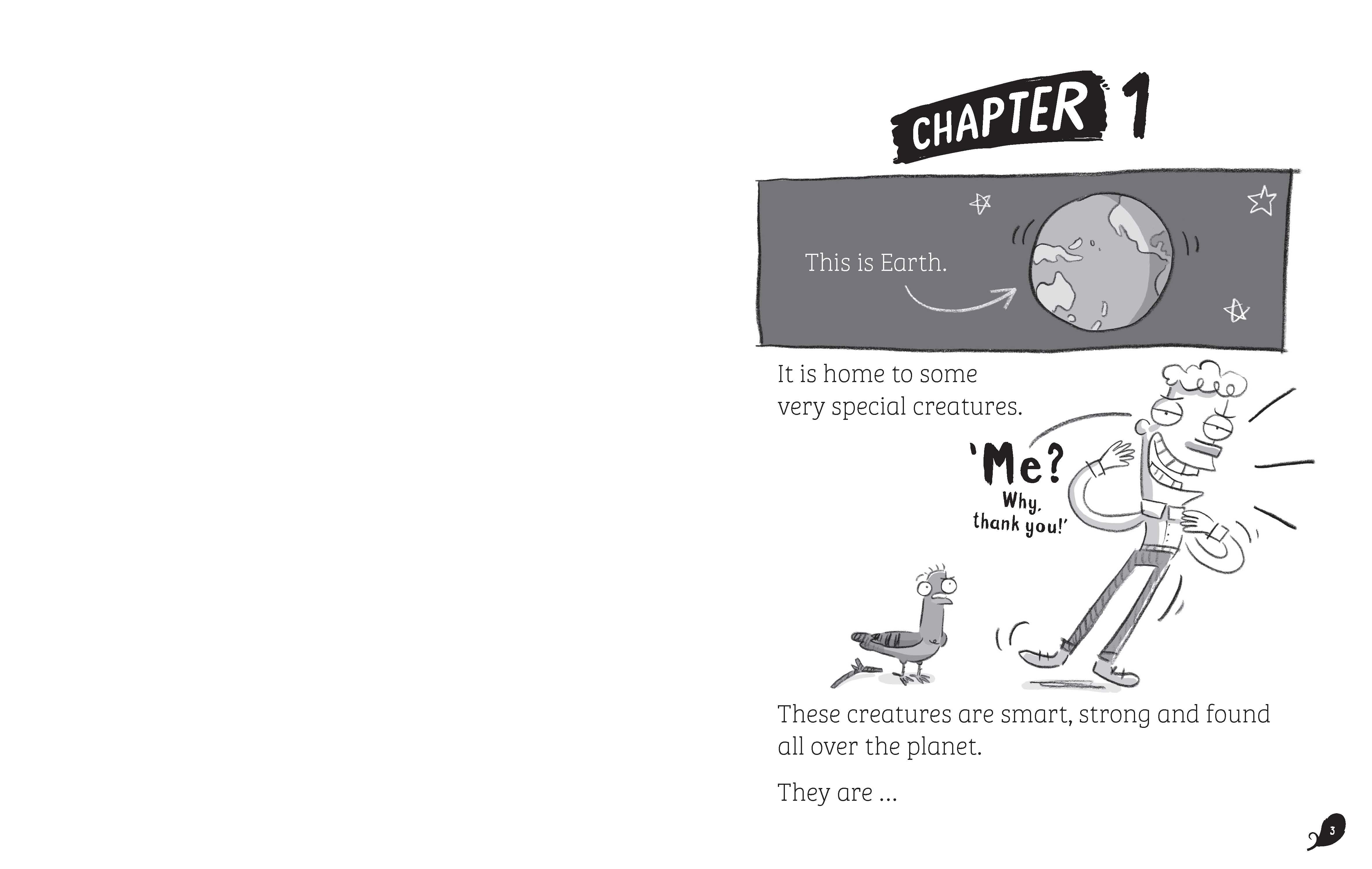 Real Pigeons 5: Peck Punches