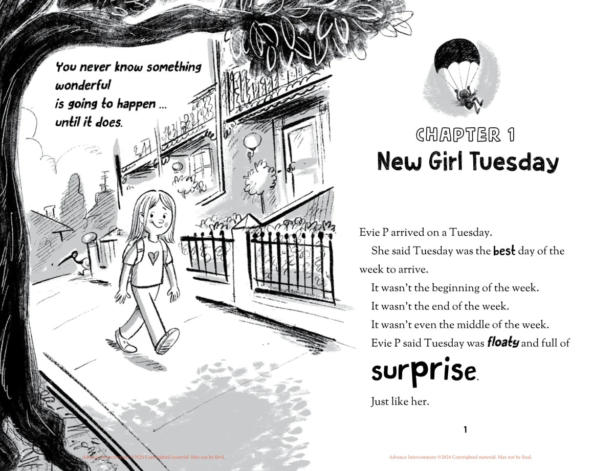 Junior Fiction Variety Pack (40 titles)