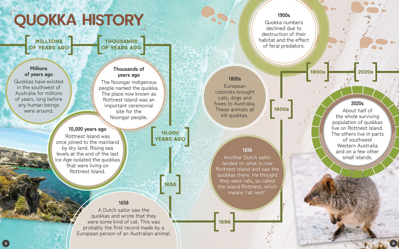 Australia's Remarkable Wildlife: Quokka (Softcover)