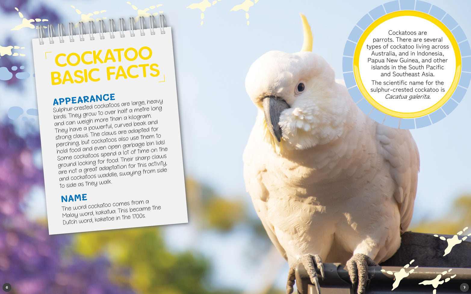 Australia's Remarkable Wildlife: Cockatoo (Softcover)