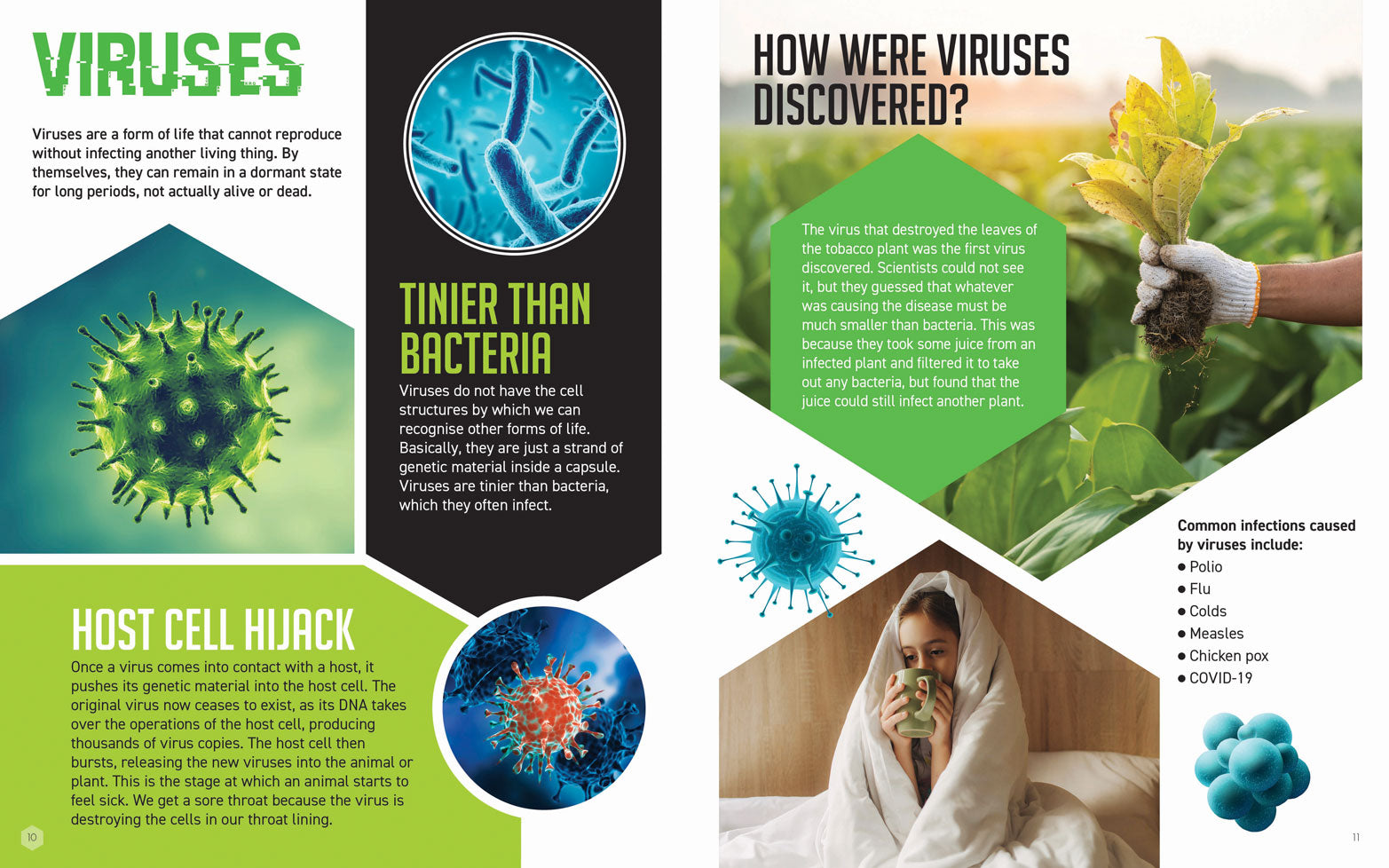 STEM is Everywhere: Germs Make Us Sick