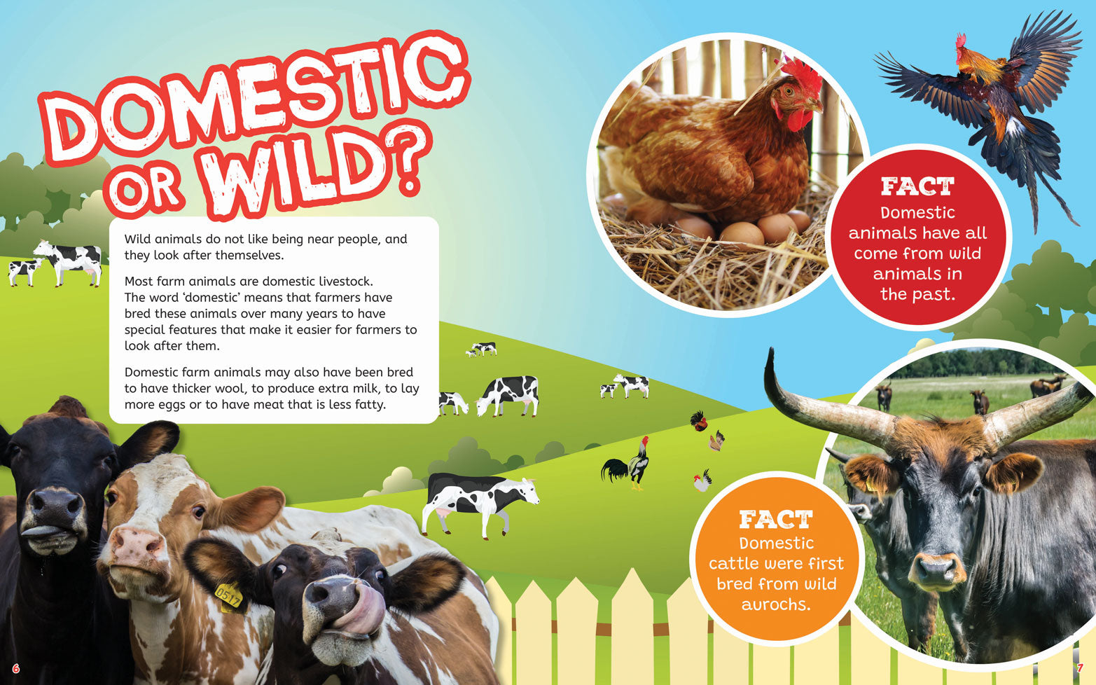 On the Farm: Farm Animals