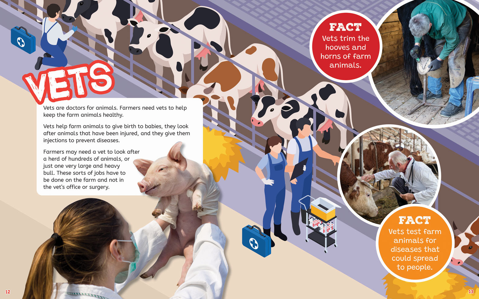 On the Farm: Farm Animals