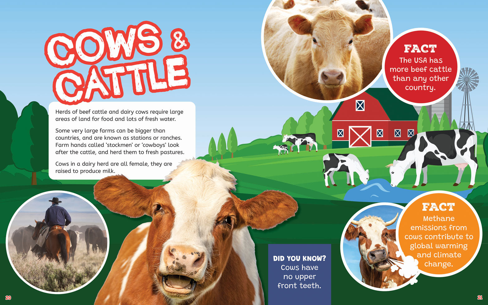 On the Farm: Farm Animals