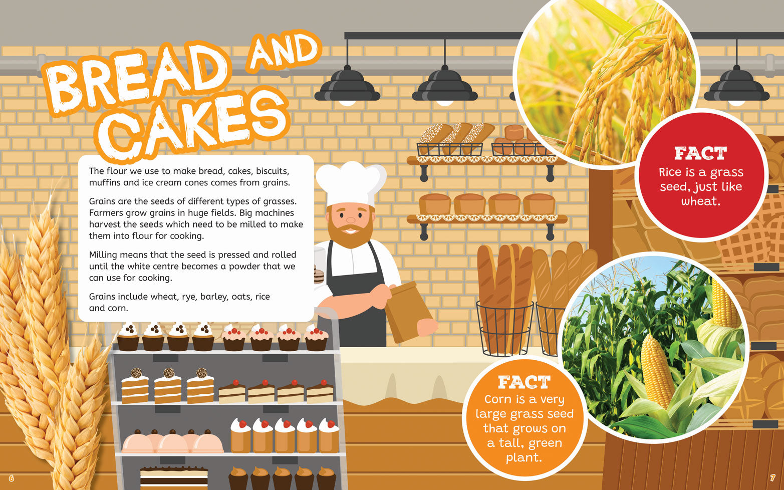 On the Farm: From Farm to Plate