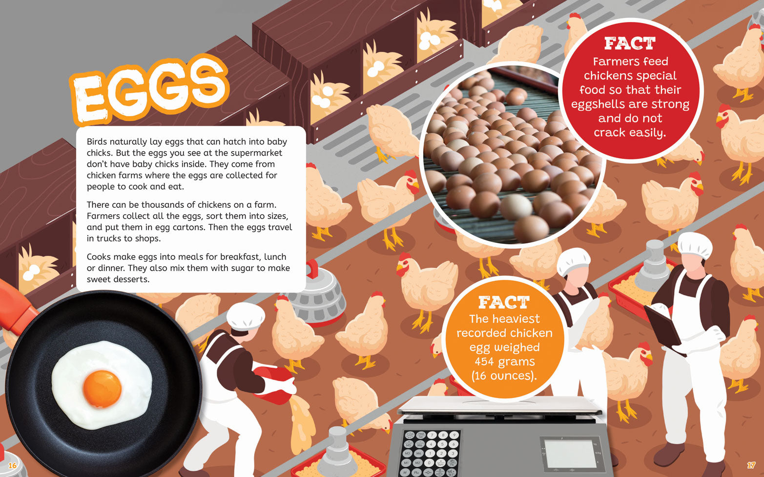 On the Farm: From Farm to Plate