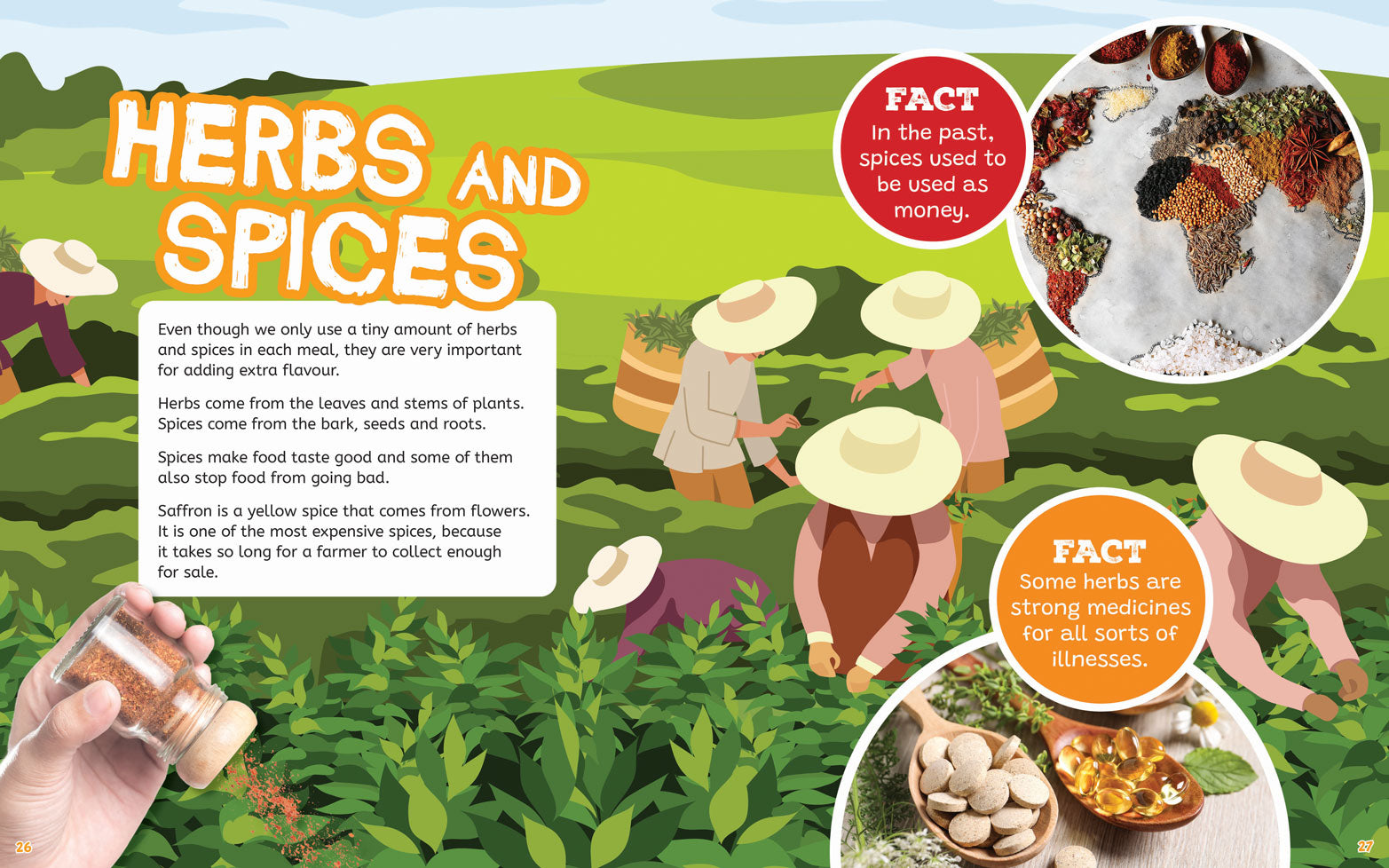 On the Farm: From Farm to Plate