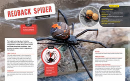 Australia's Scariest Creatures 6 Pack (softcover)