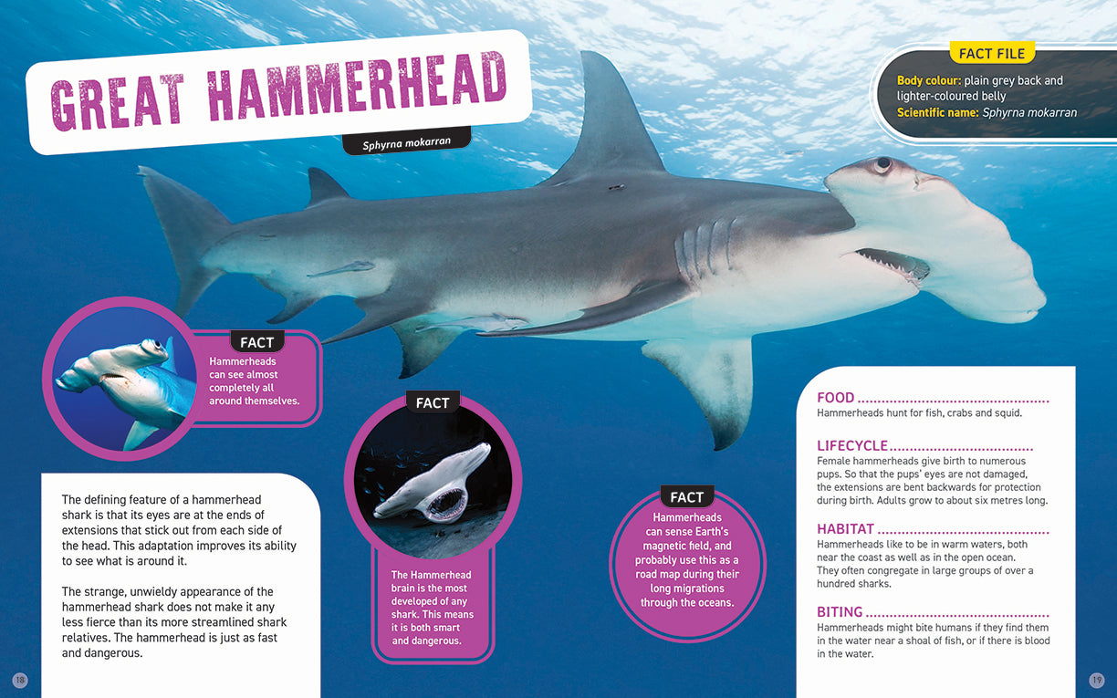 Australia's Scariest Creatures: Dangerous Sharks