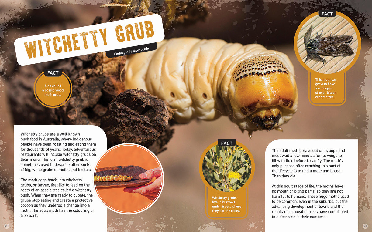 Australia's Scariest Creatures: Freaky Insects