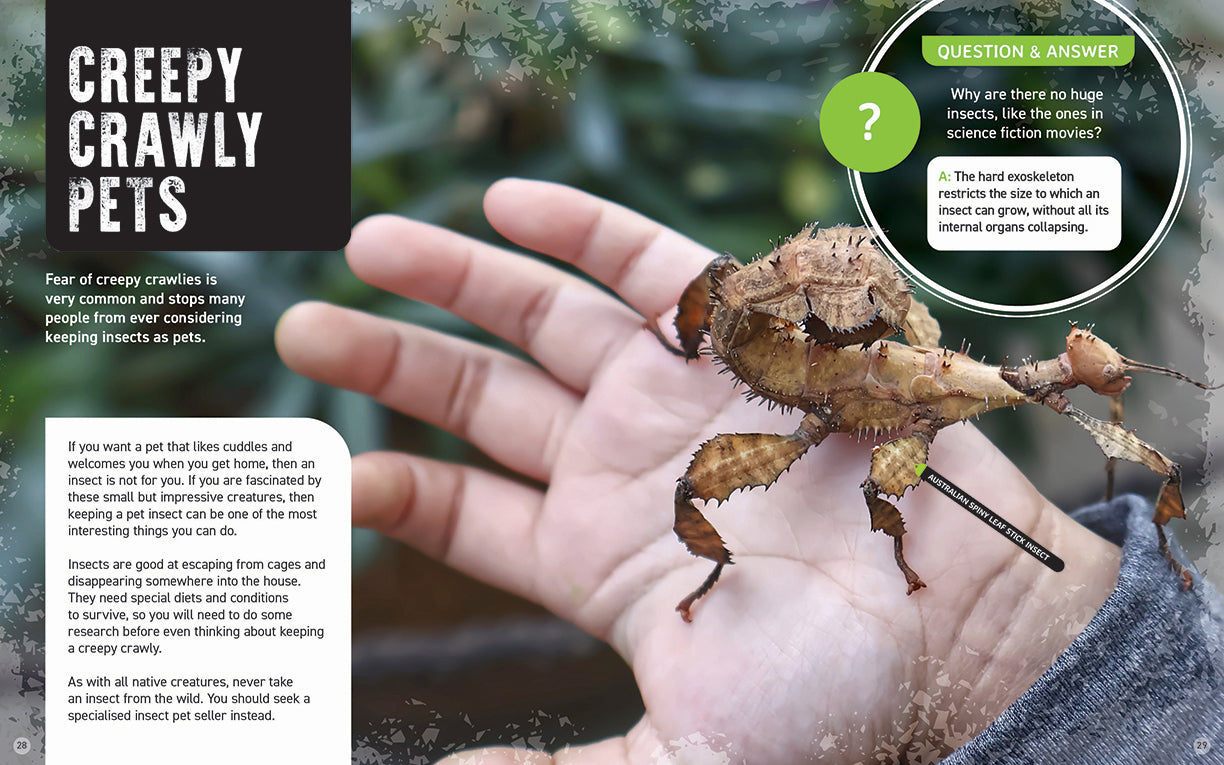 Australia's Scariest Creatures: Freaky Insects