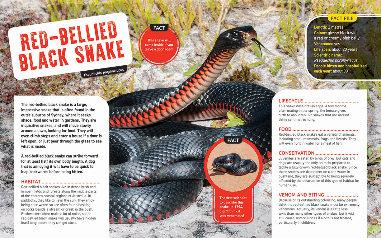 Australia's Scariest Creatures: Deadly Snakes (Softcover)