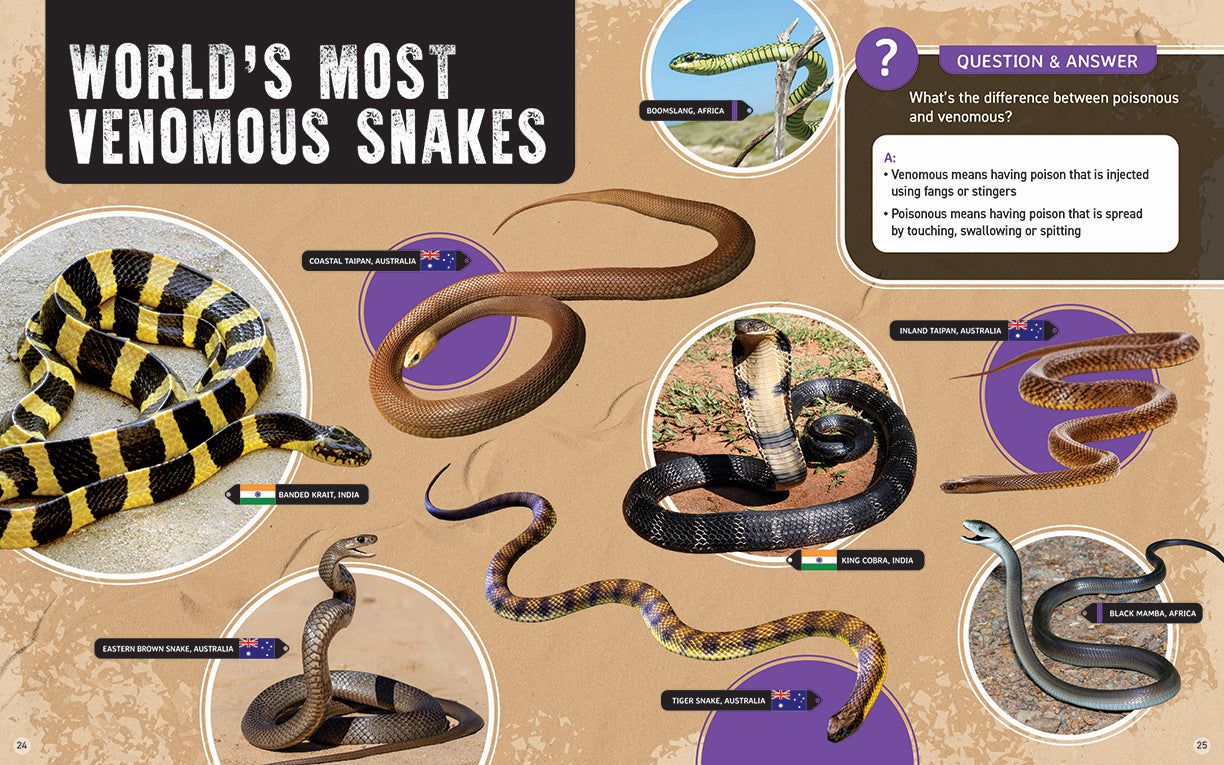 Australia's Scariest Creatures: Deadly Snakes (Softcover)