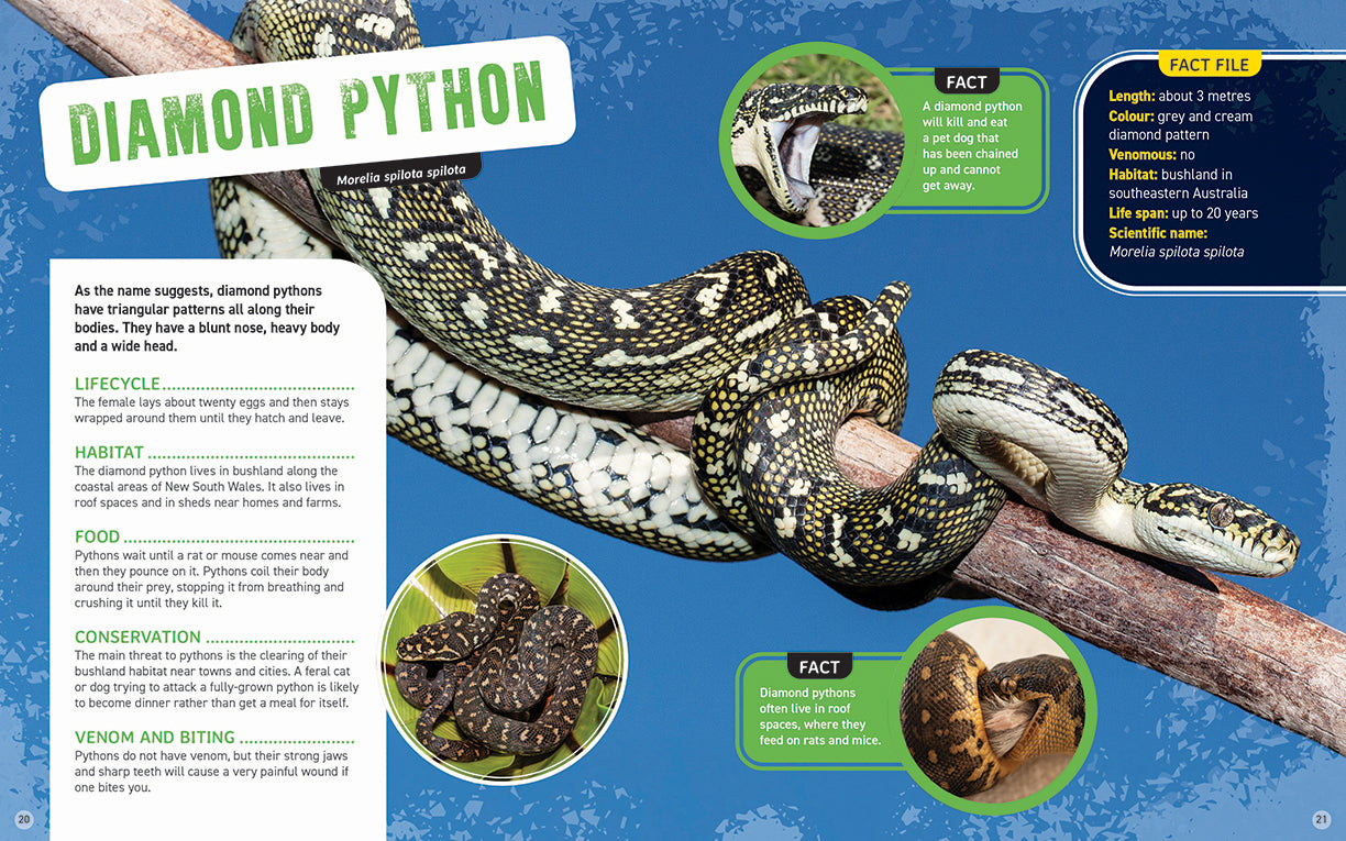 Australia's Scariest Creatures: Deadly Snakes (Softcover)