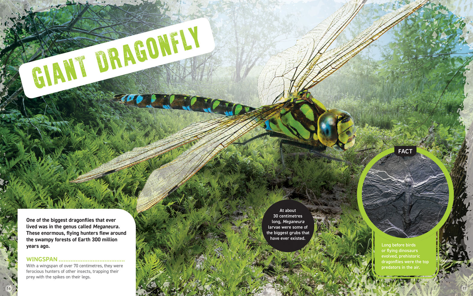 World's Scariest Creatures: Angry Arthropods