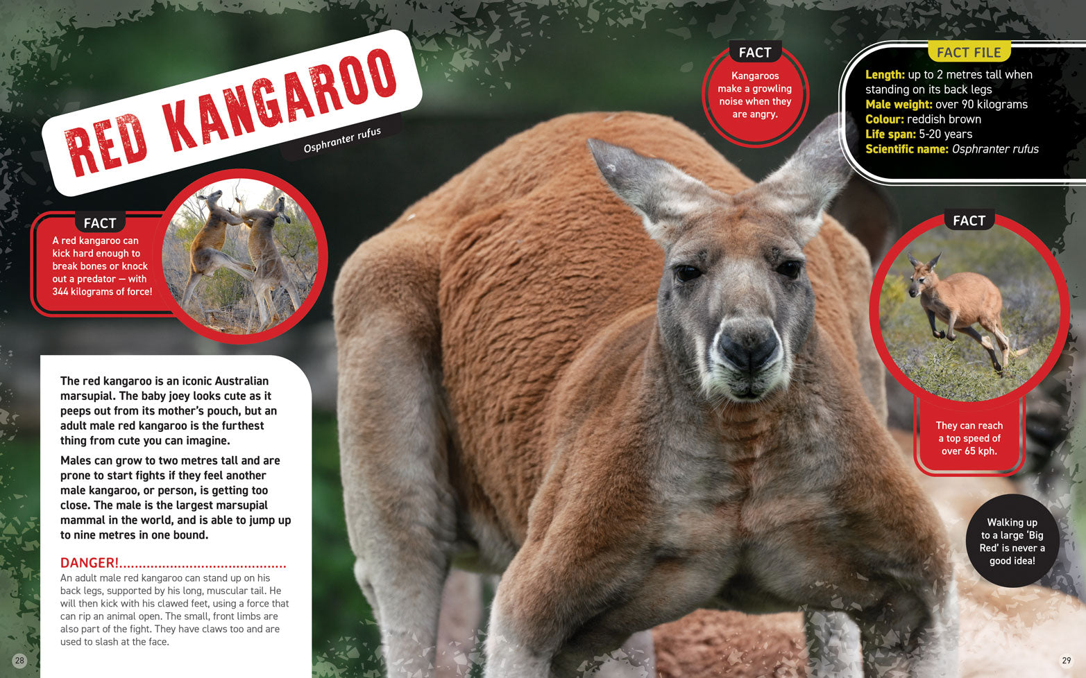 World's Scariest Creatures: Furry and Deadly