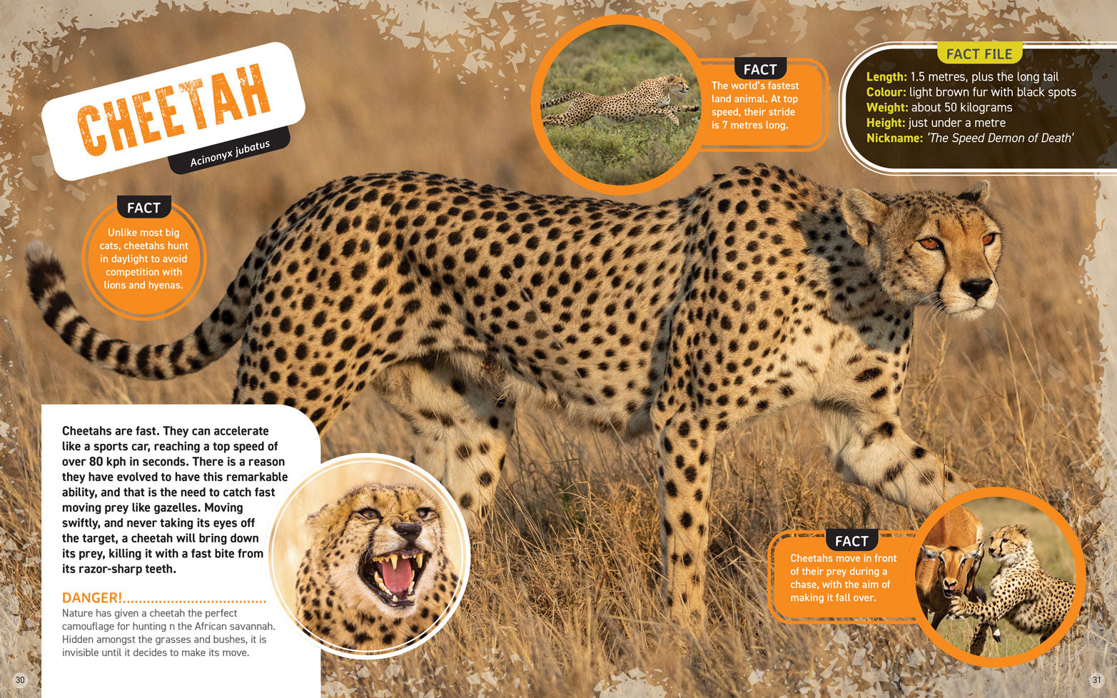 World's Scariest Creatures: Furry and Deadly