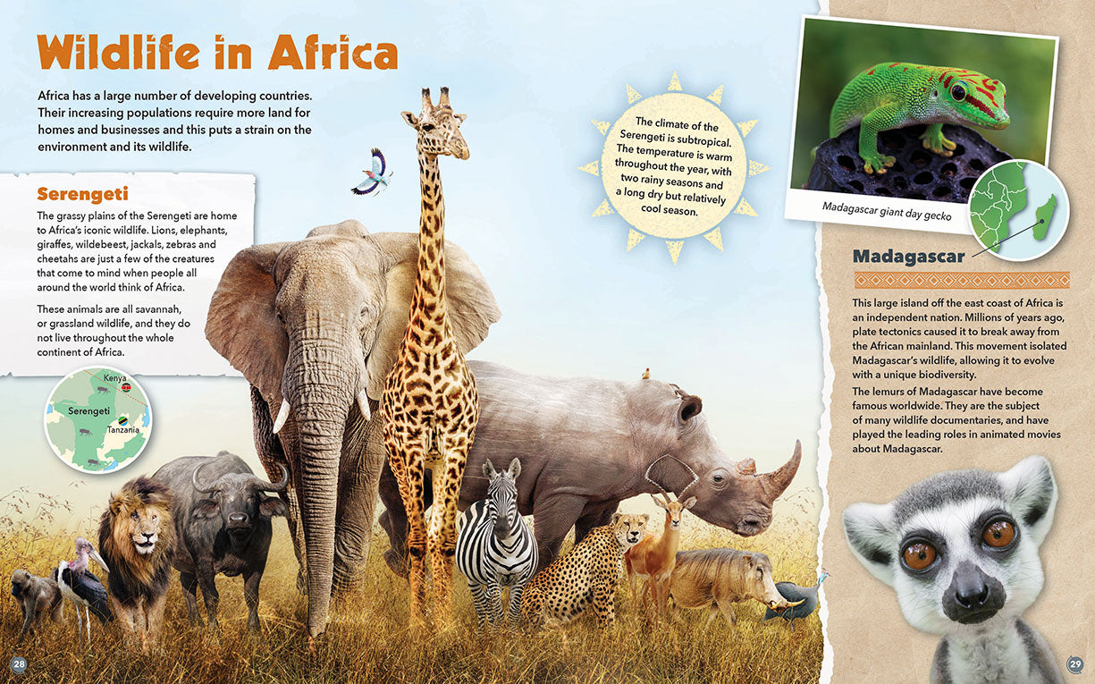 Continents of the World: Africa (Softcover)