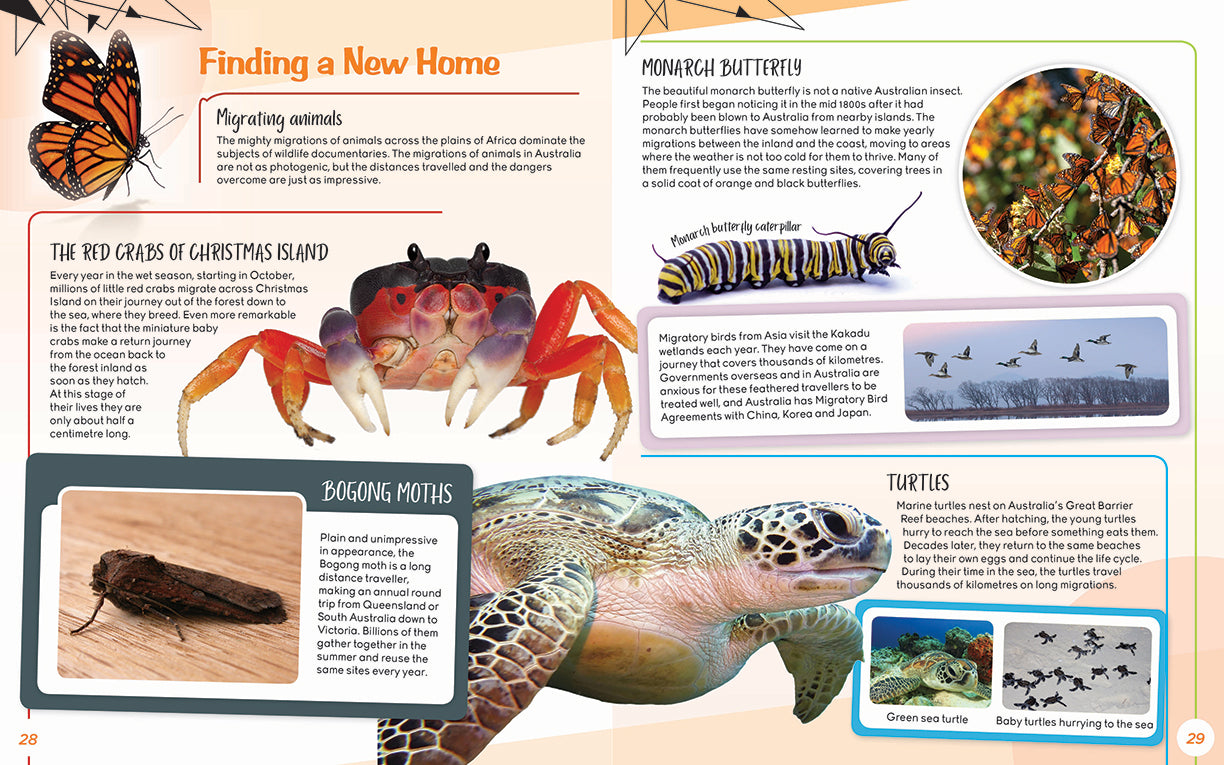 Fantastic Facts About: Australia's Extraordinary Animals (Softcover)