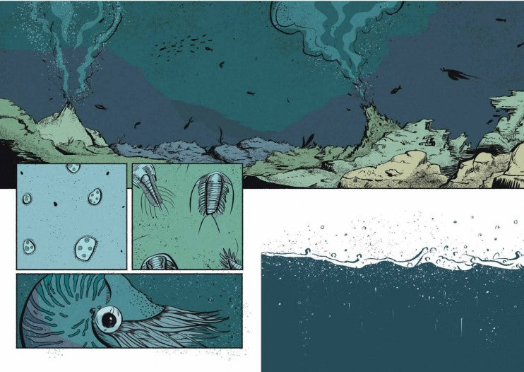 When the Mountain Wakes