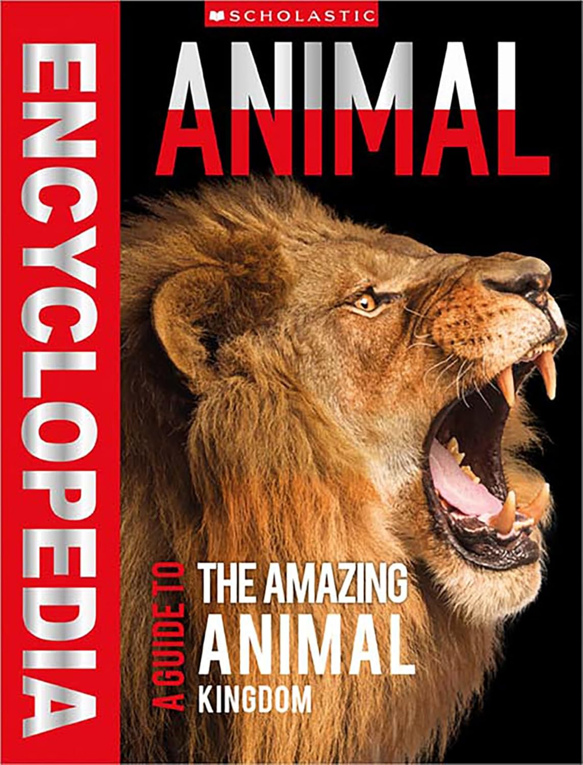 Animal Encyclopedia: A Guide to the Amazing Animal Kingdom
