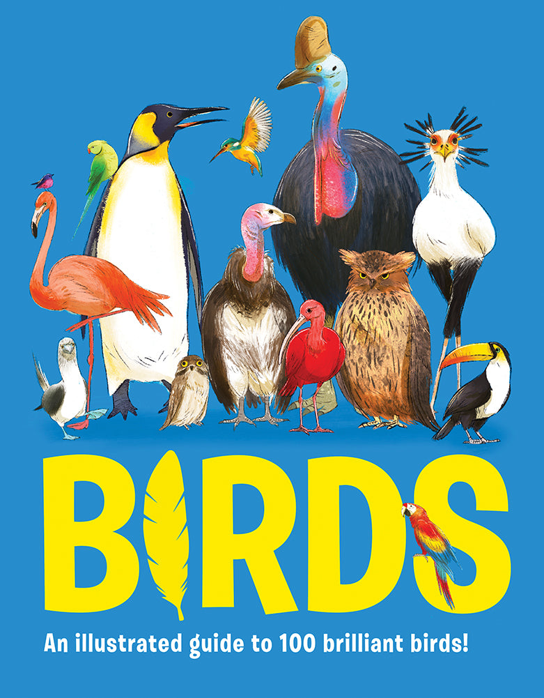 An Illustrated Guide To: 100 Brilliant Birds!