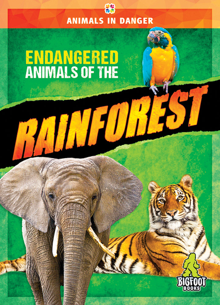 Animals in Danger: Endangered Animals of the Rainforest