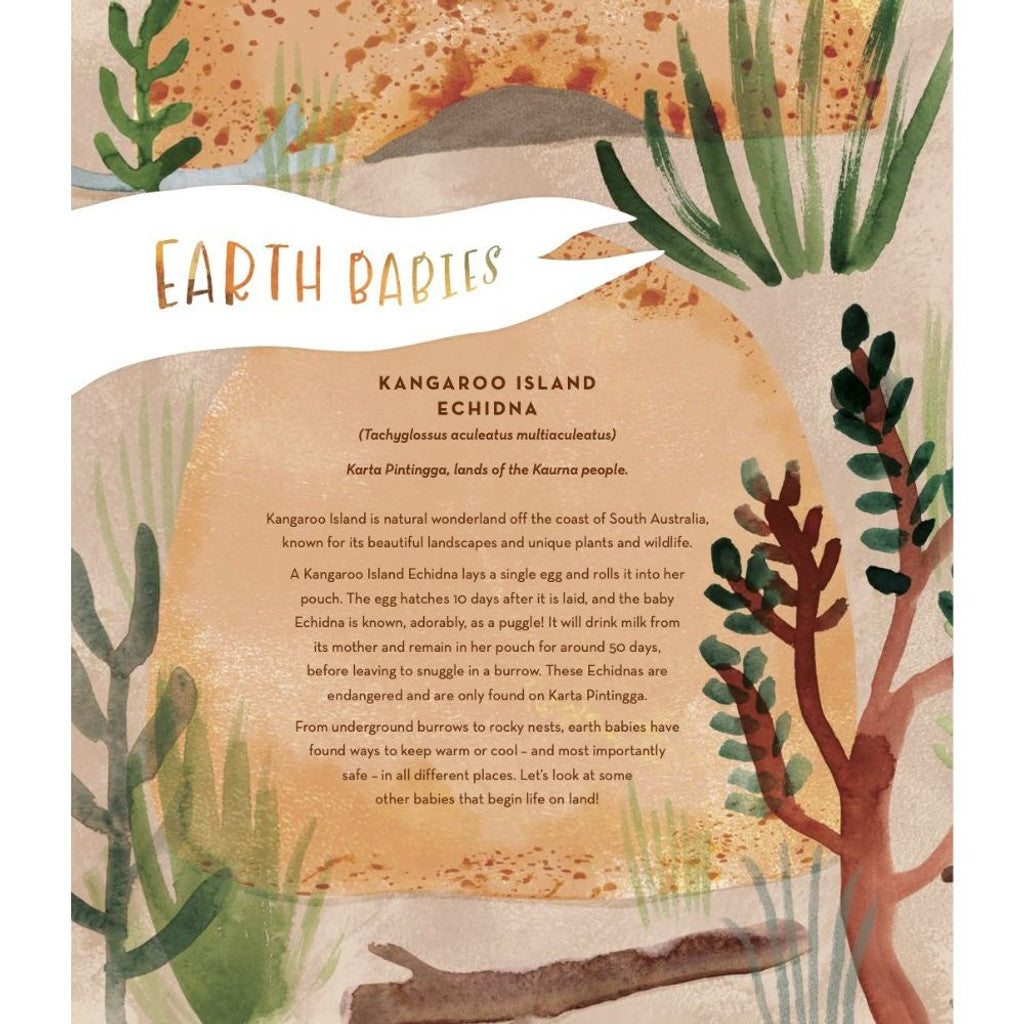 Australia's Baby Animals