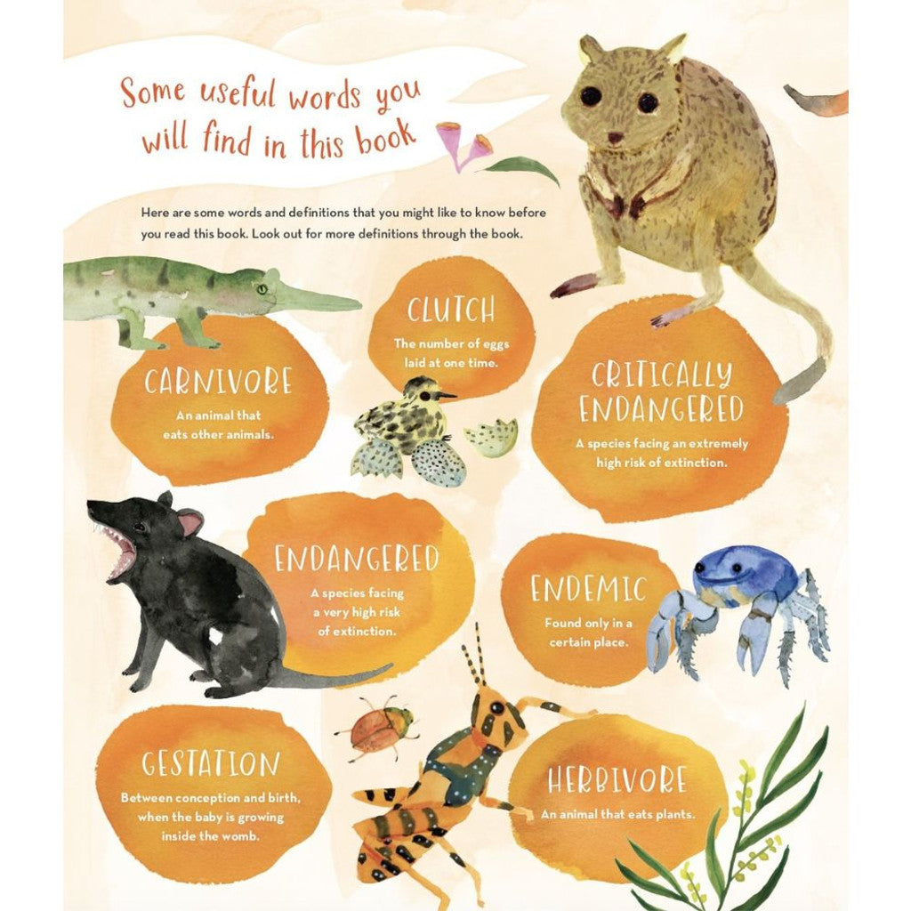 Australia's Baby Animals