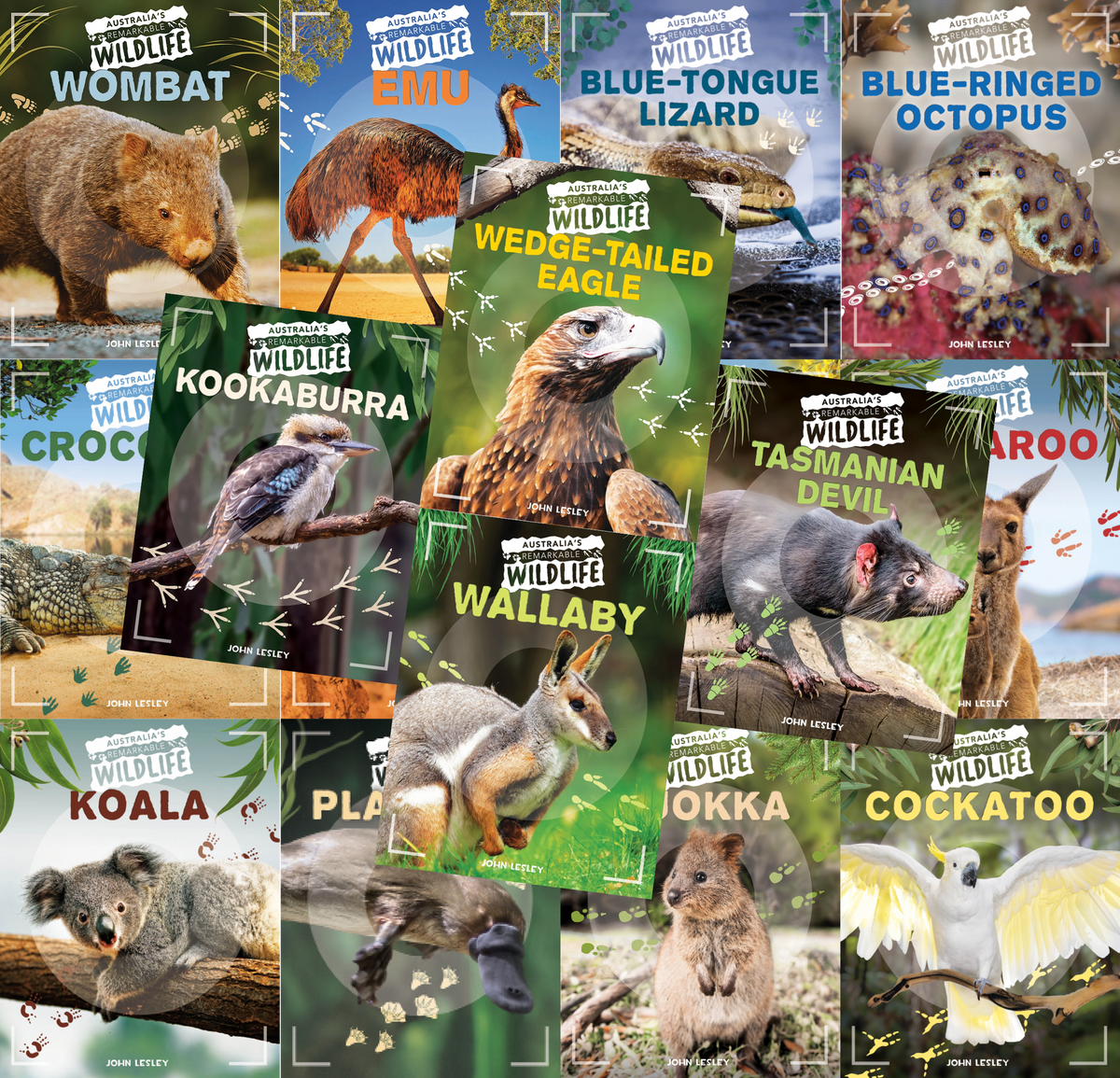 Australia's Remarkable Wildlife 16 Pack (Softcover)