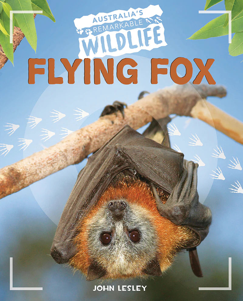 Non-fiction Books (Hardcover) Variety Pack (20 titles)