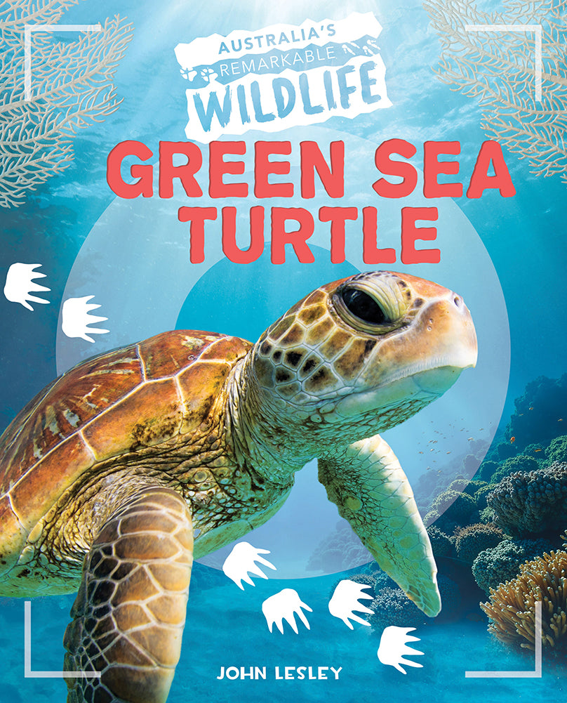 Australia's Remarkable Wildlife: Green Sea Turtle