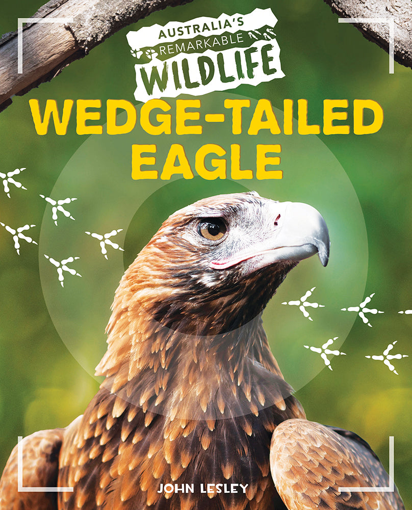 Australia's Remarkable Wildlife: Wedge-Tailed Eagle - Hardcover