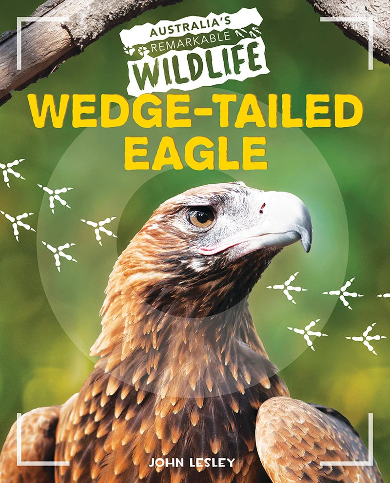 Australia's Remarkable Wildlife 16 Pack (Softcover)
