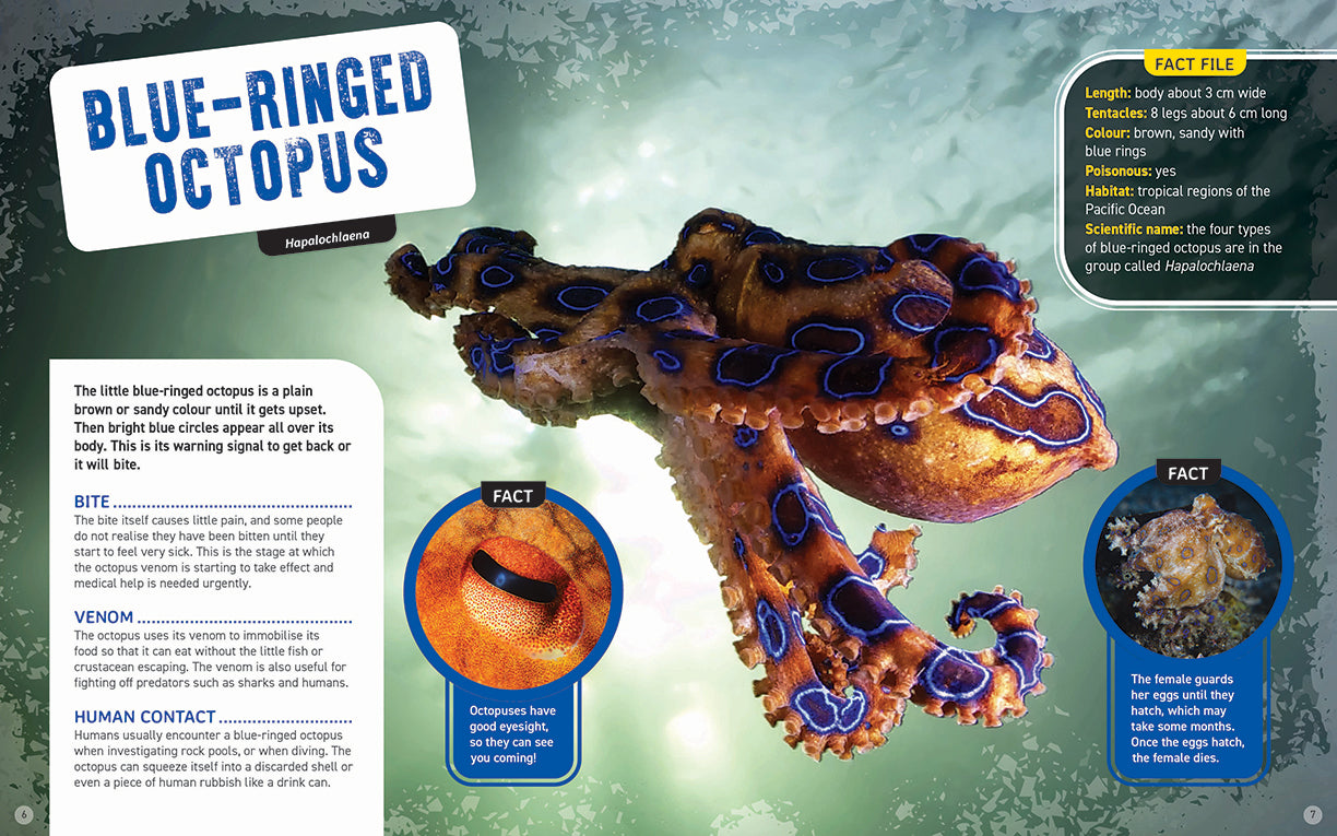 Australia's Scariest Creatures: Nasty Stingers