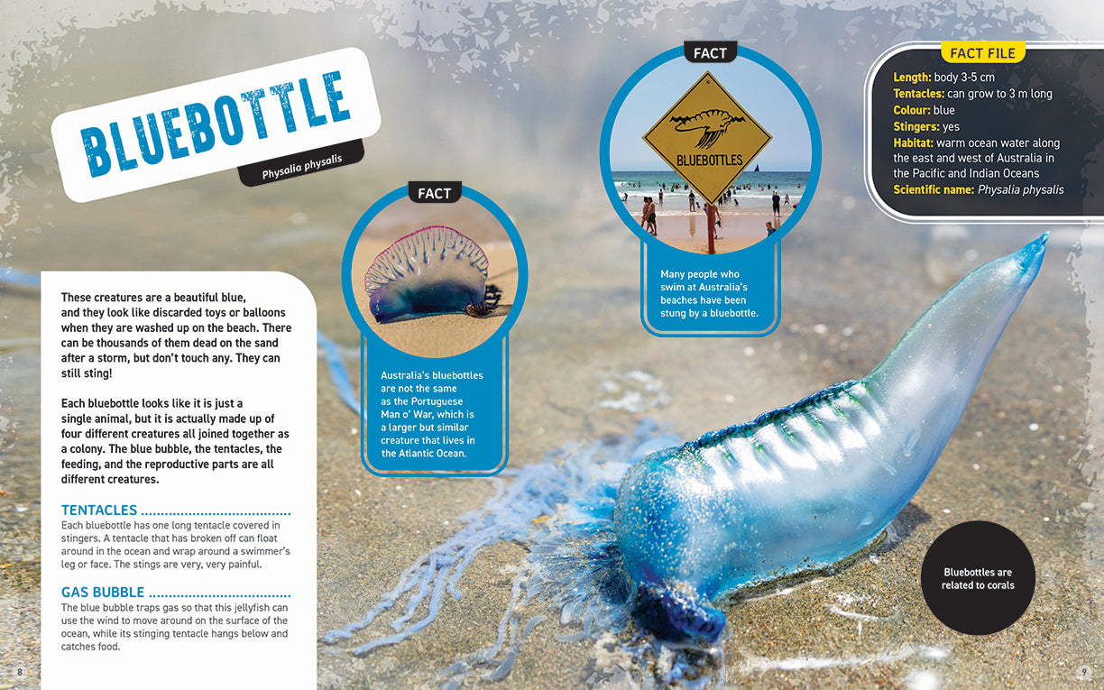 Australia's Scariest Creatures: Nasty Stingers