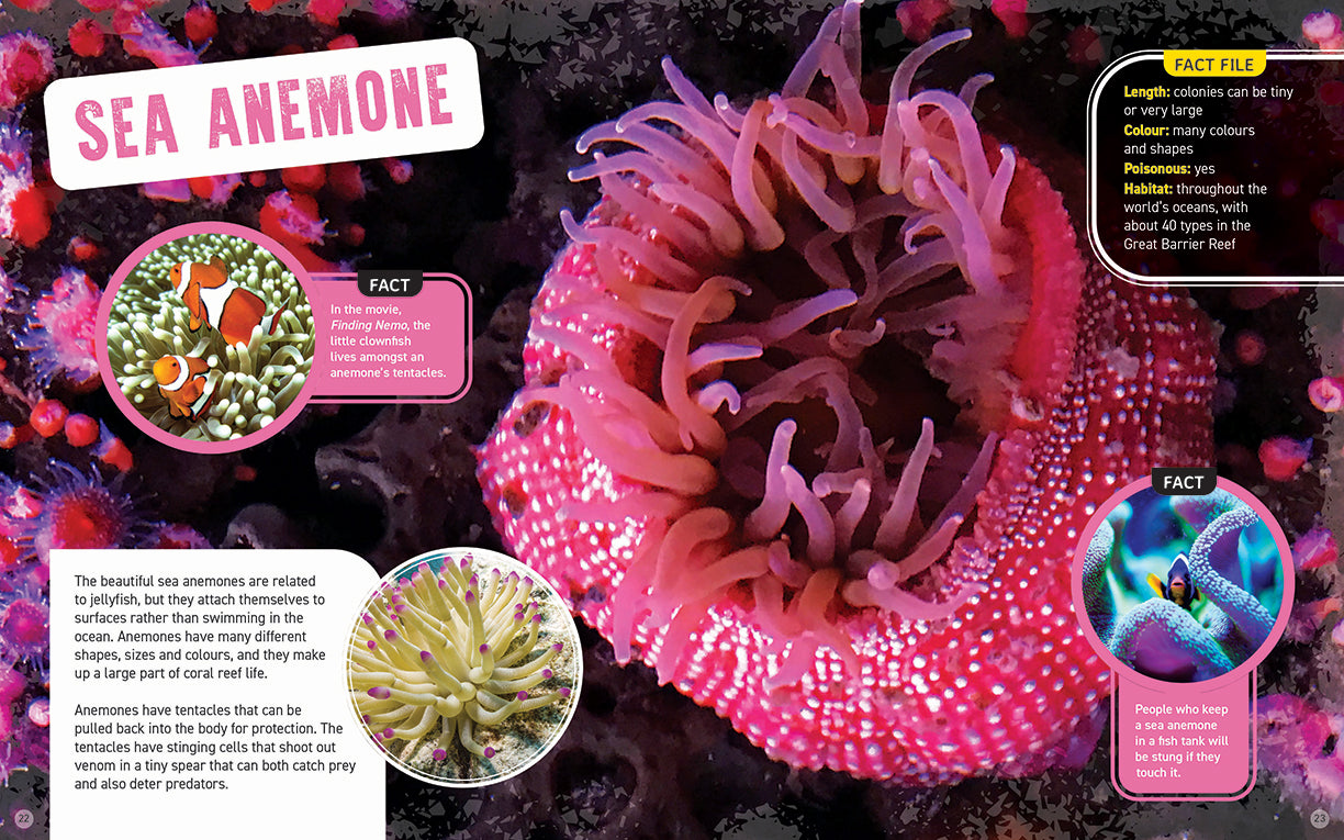 Australia's Scariest Creatures: Nasty Stingers